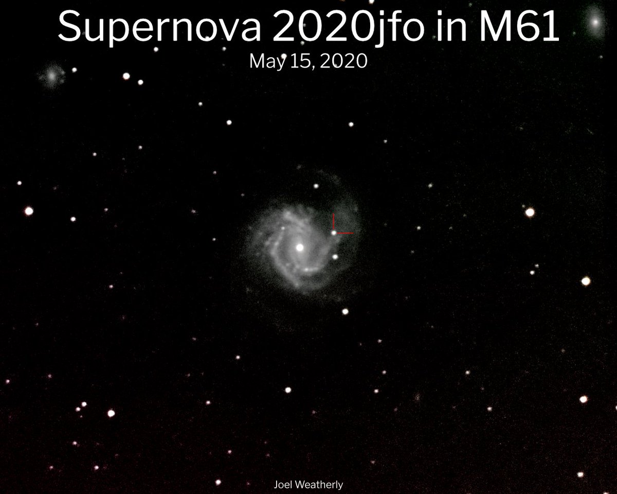 Some 55 million light-years away a star has gone supernova in the galaxy Messier 61. M61 seems to be a good galaxy for supernovae as eight have been observed within its spiral. #Supernova #SN2020jfo #astronomy #M61