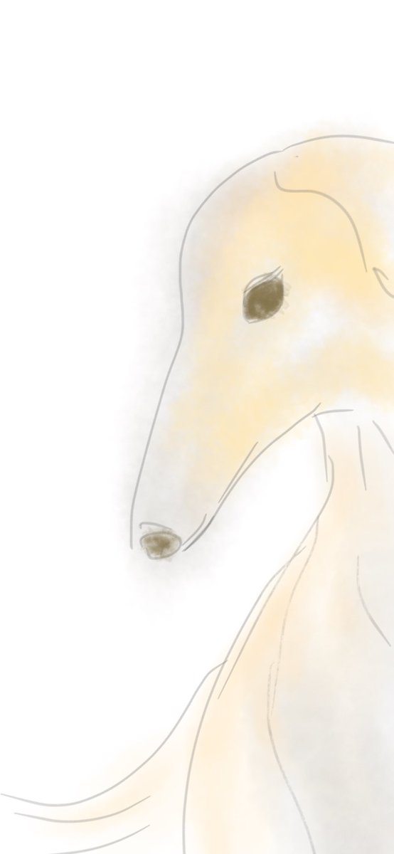 ボルゾイのtwitterイラスト検索結果 ボルゾイのtwitterイラスト検索結果