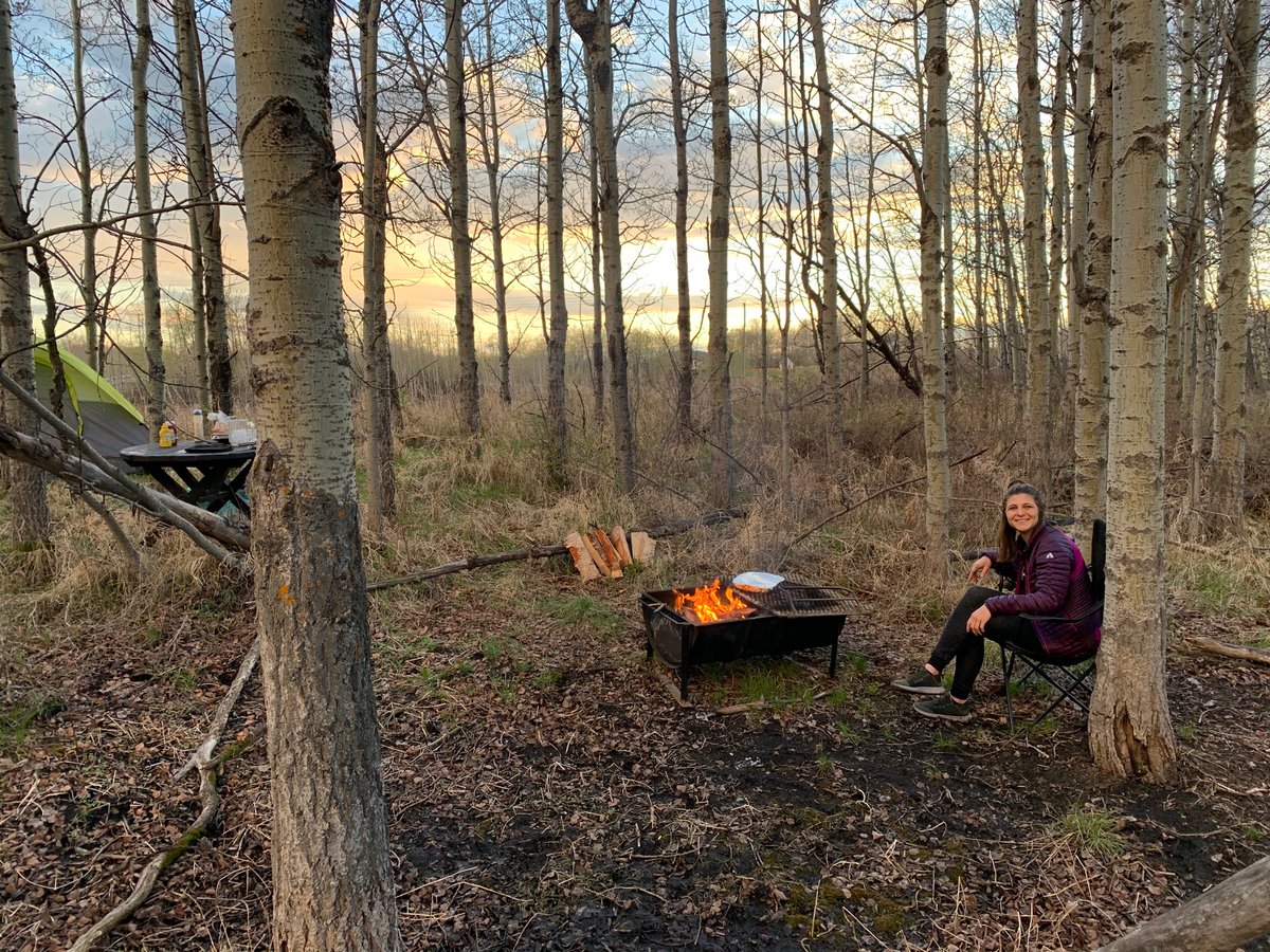 Carson Lavender tweet media