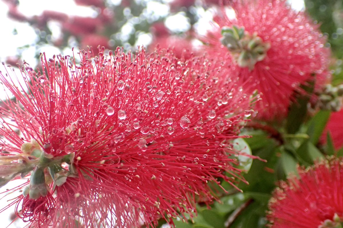 雨の日を楽しもう