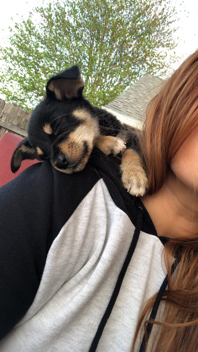 SierraStarr1's tweet photo. A sequel: How Frankie Sleeps https://t.co/r6H6etaJiL