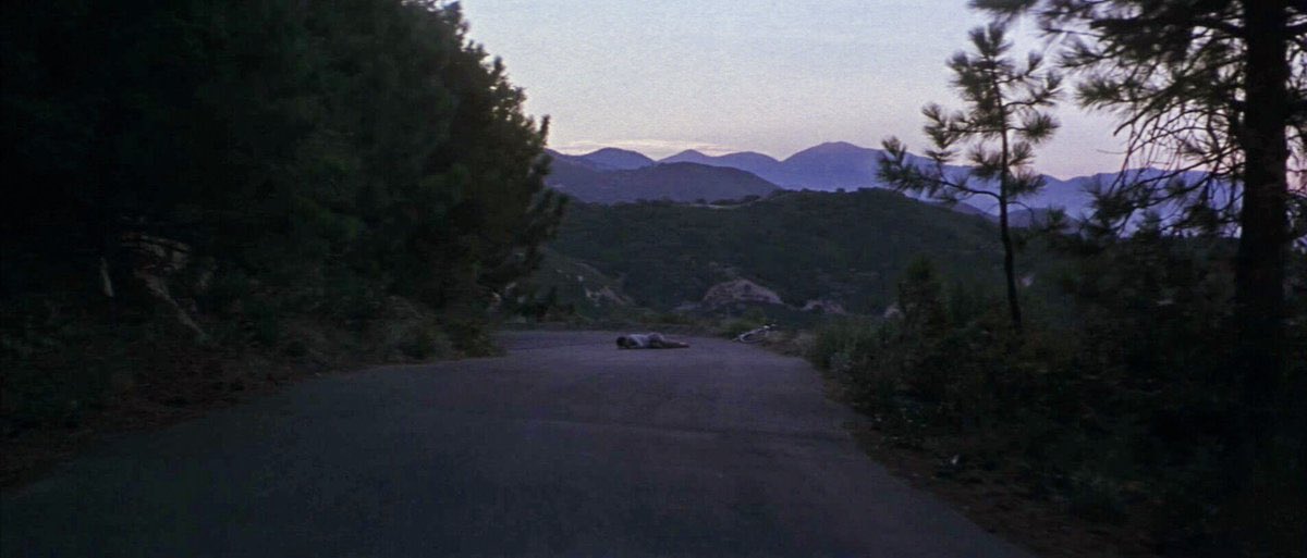 Donnie Darko (2001, Richard Kelly)