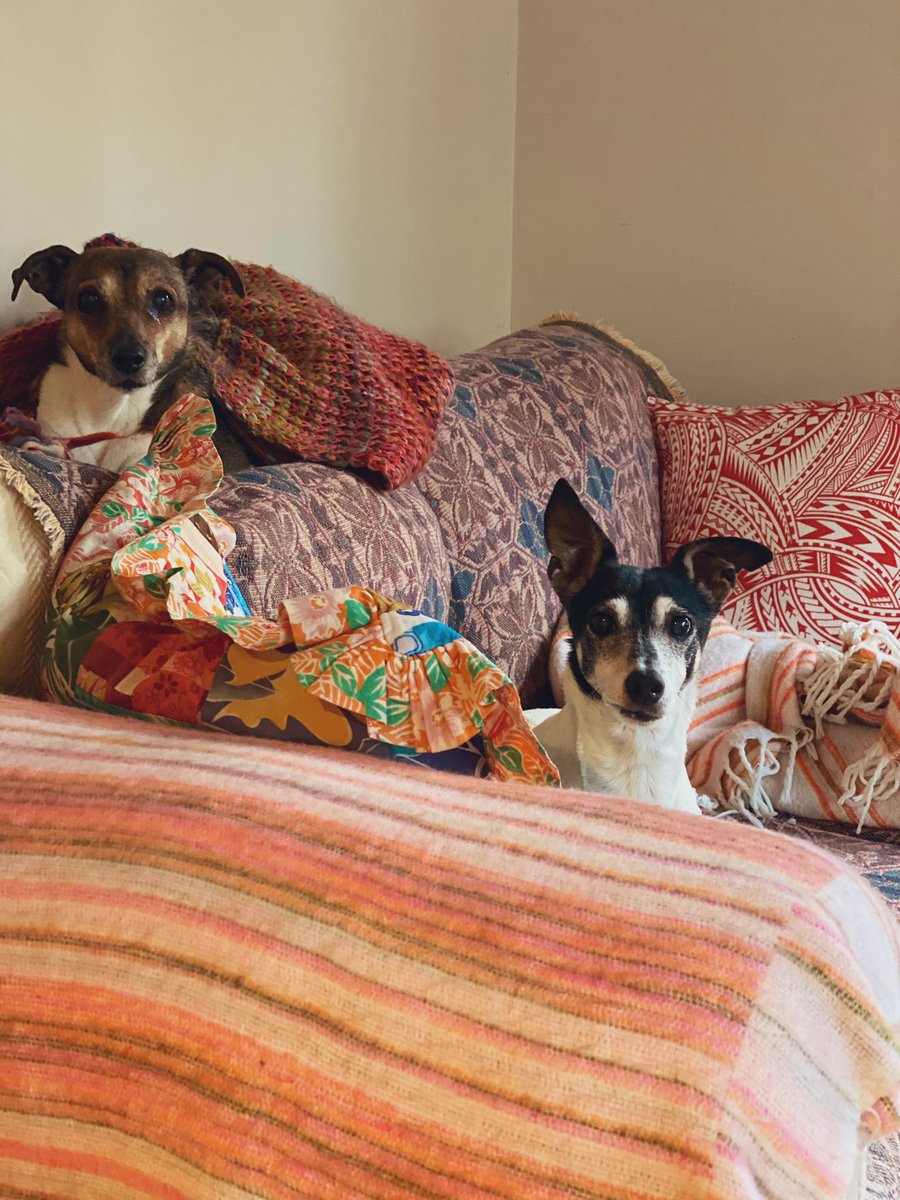 phyllisofickle's tweet photo. Must be coming up to 5.15
#DogDinnerTime https://t.co/iqFyBgAGqS