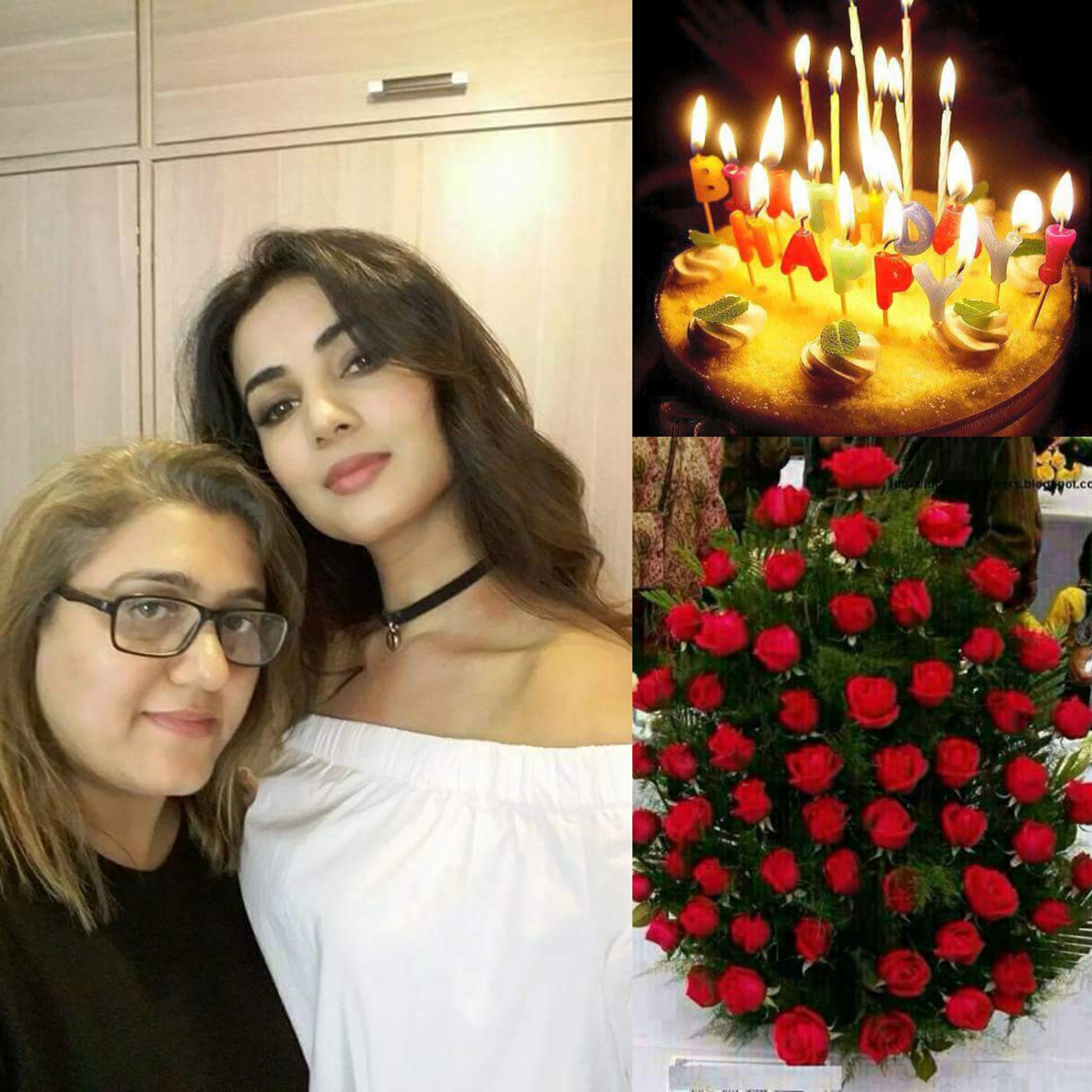 Happy birthday dear sonal Chauhan may you achieve all you dreams and good health   