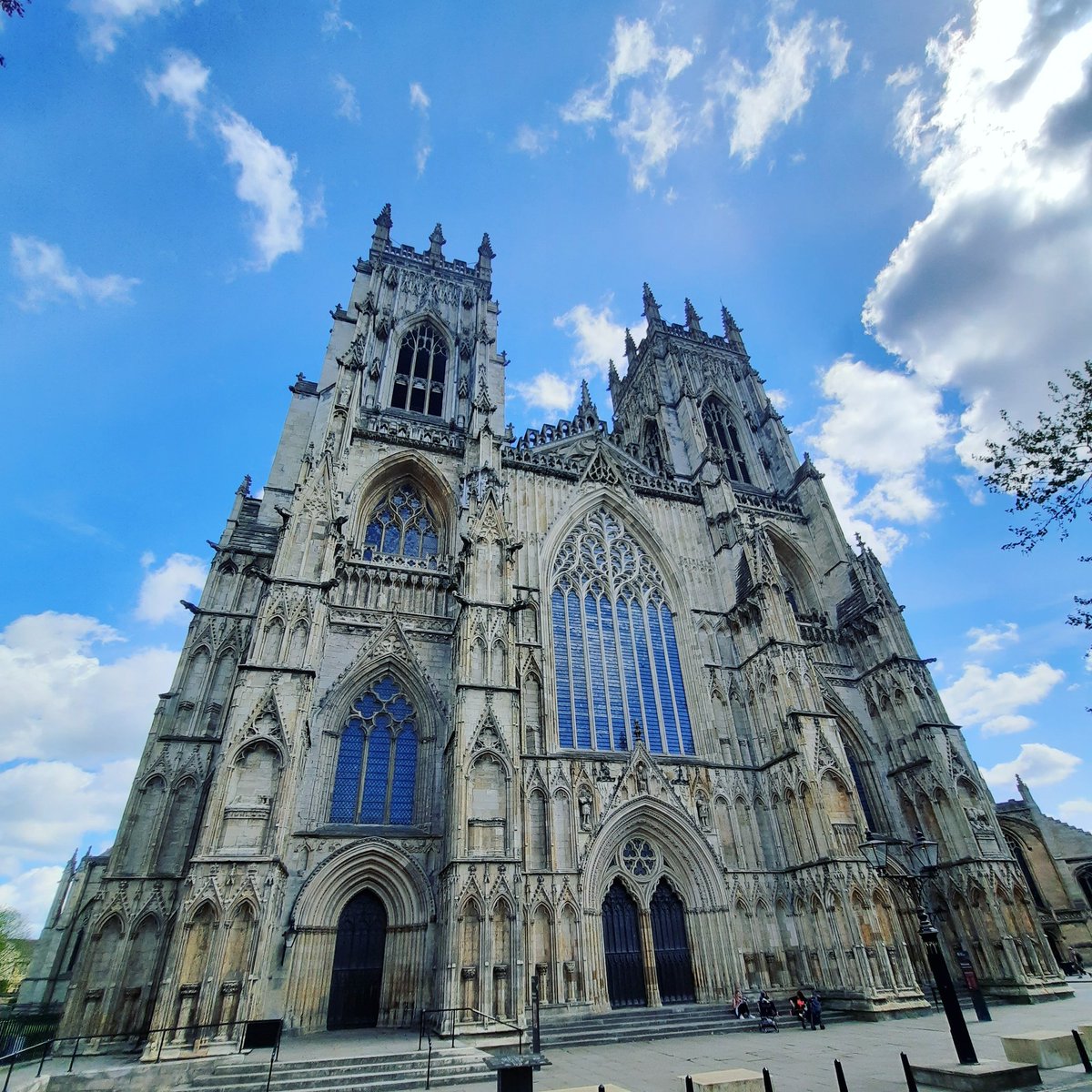 Indigo Greens tweet media