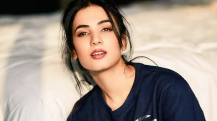 Happy Birthday Beautiful Sonal Chauhan   