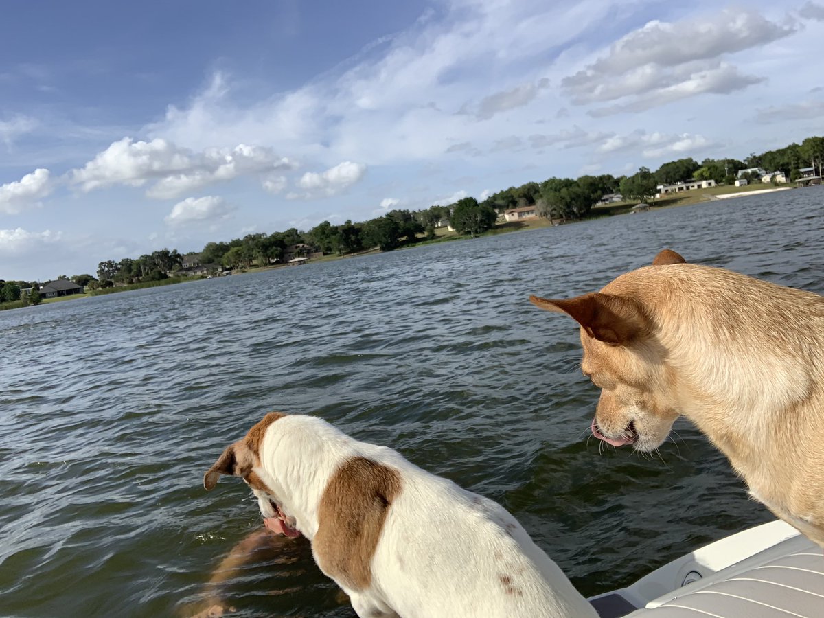 cocoandpolu's tweet photo. Lake day ☀️ https://t.co/HlUPiCllnp
