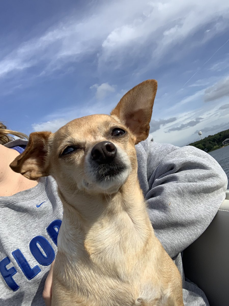 cocoandpolu's tweet photo. Lake day ☀️ https://t.co/HlUPiCllnp