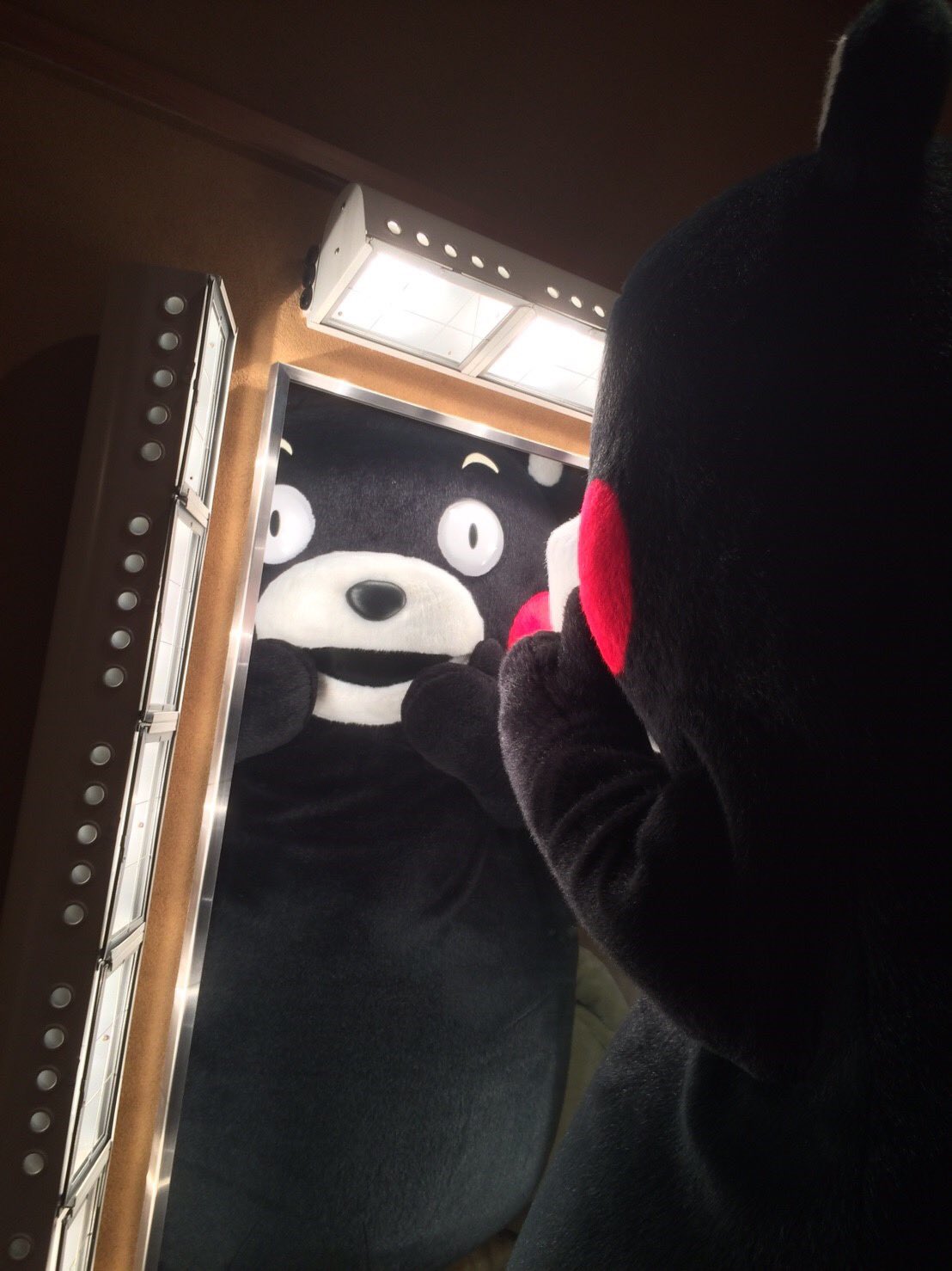 くまモン東京スタッフ 公式 今日のワード かっこいい くまモンかっこいいねー これを熊本弁 で言うと何というか みなさんはご存知ですか かっこいい は熊本弁で むしゃんよかー と言います 今度くまモンをみかけたら たいぎゃ 大変 非常に