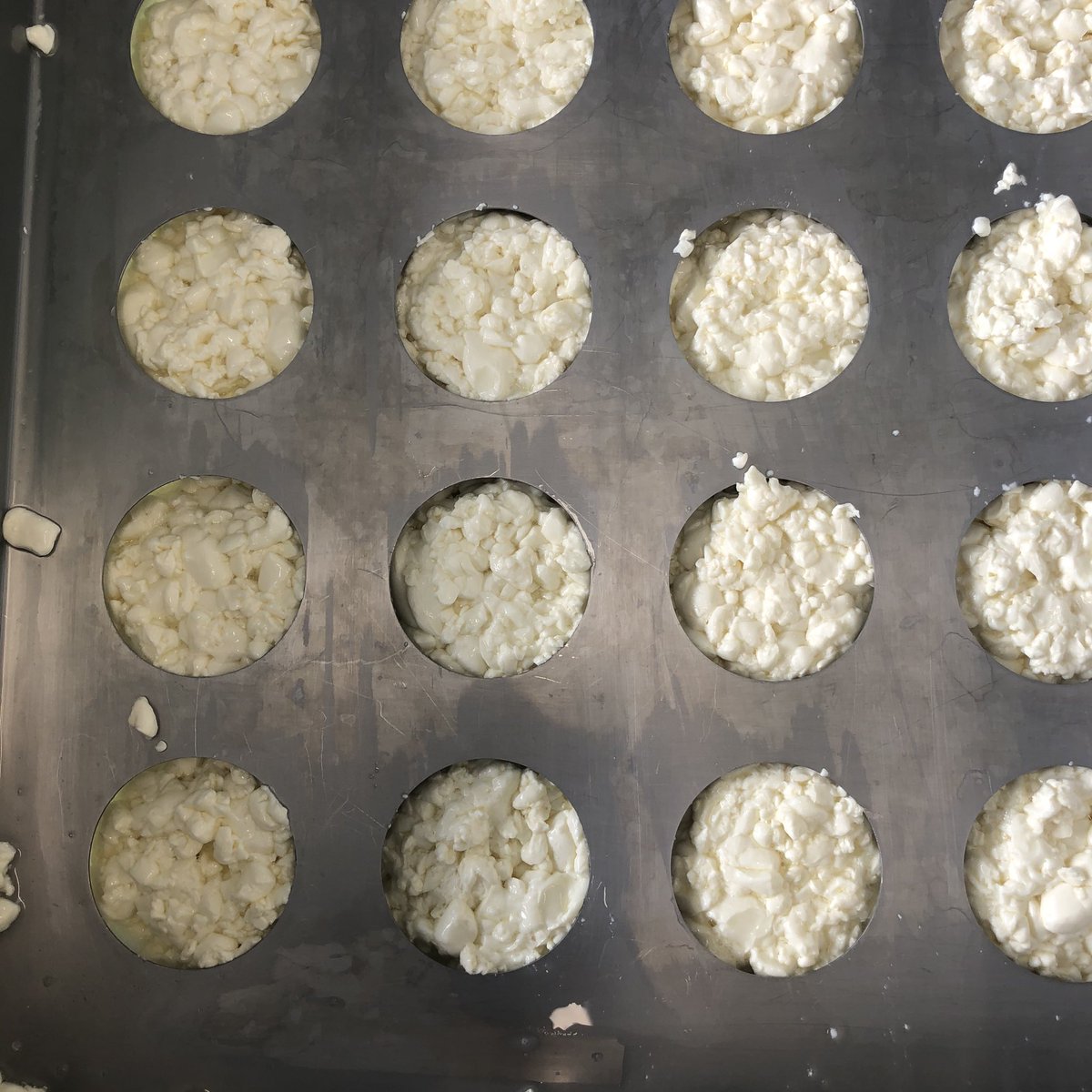 Little Rollrights, draining.