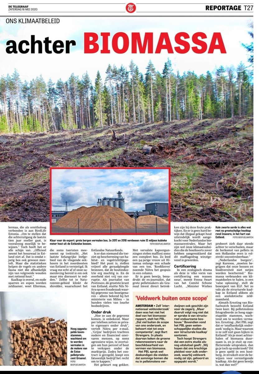 principessael tweet picture