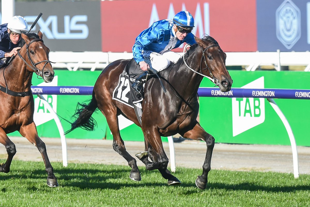 melbourne cup betting specials at olive garden melbourne cup betting specials at olive garden