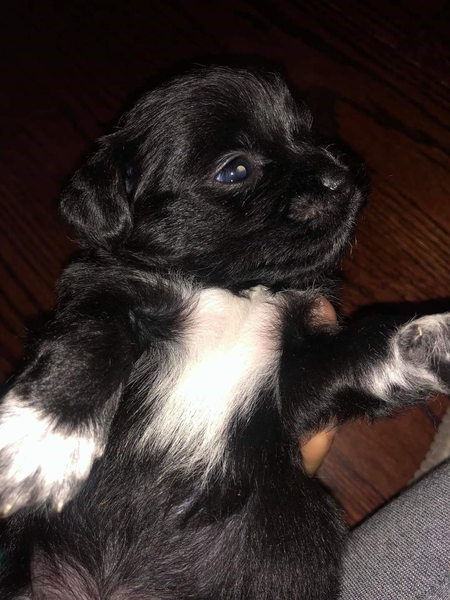 Jonathan🐯 tweet media