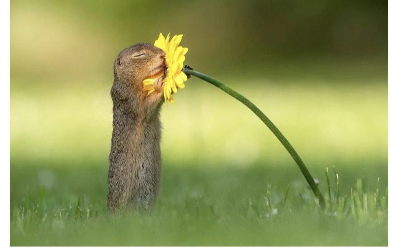 trevorworth's tweet photo. @AndyKebby @MsClareMBaker @pauline_hands @Suzi_Cumberland @ecoplymouthstev @carlheslop @OggyArmada @CleanAbodesSW @mrbenstirling @NicolaKeen1 @LeanneElliottMM @sirfixalock @sproz21 @Iamdonnabarnes @CrewesLaura @buildplymouth @HilaryK36866276 @CaptainRugWash And to all of you Janners and adopted Janners too 💜 https://t.co/iOC4v9rSjx