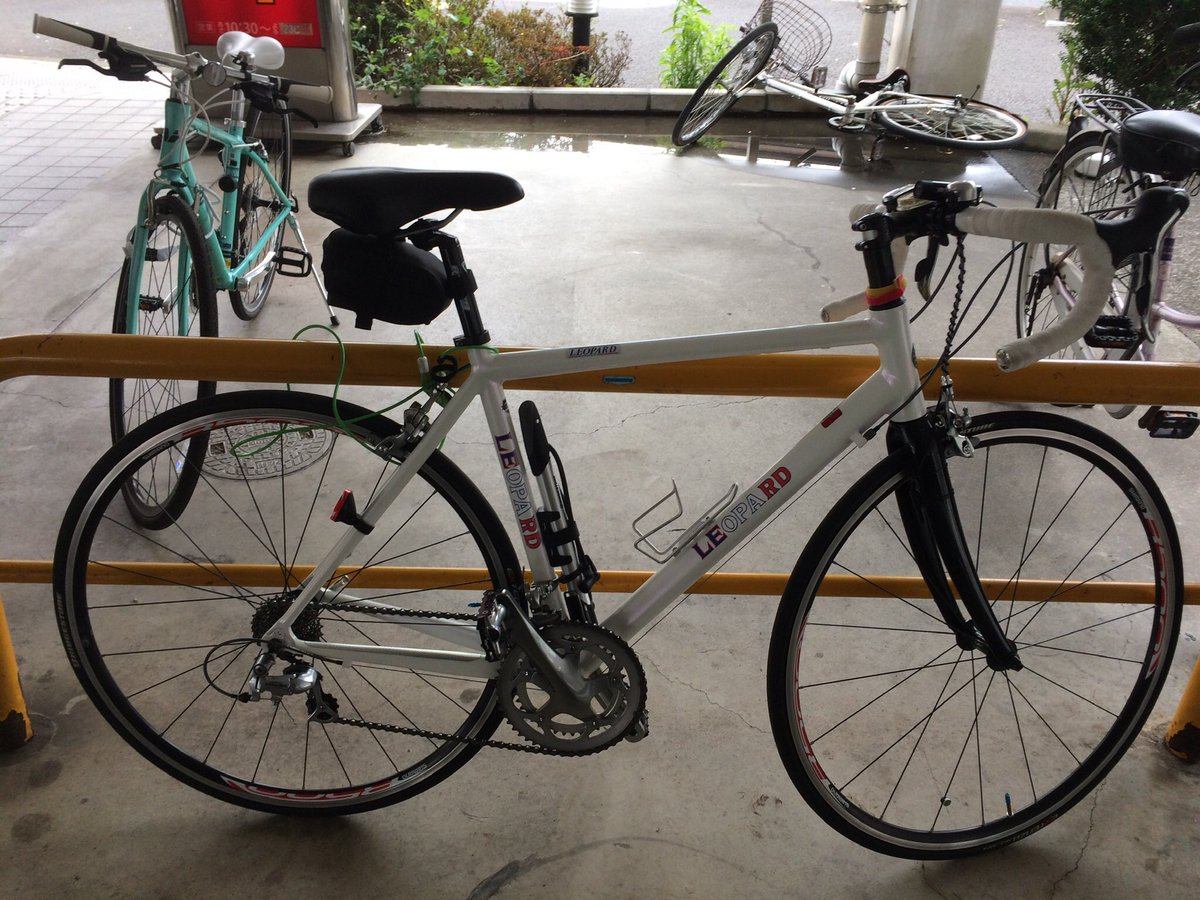 フレンド商会善福寺店オリジナル レオパード