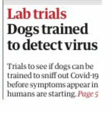DaveJames78's tweet photo. Not sure there's been enough praise for this headline. #labtrials https://t.co/L52kF7eU1Y