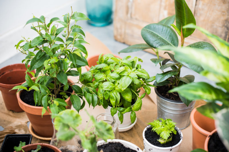 Breathe Better: 3 Easy Ways to Improve Your Indoor Air Quality bit.ly/368zLz1