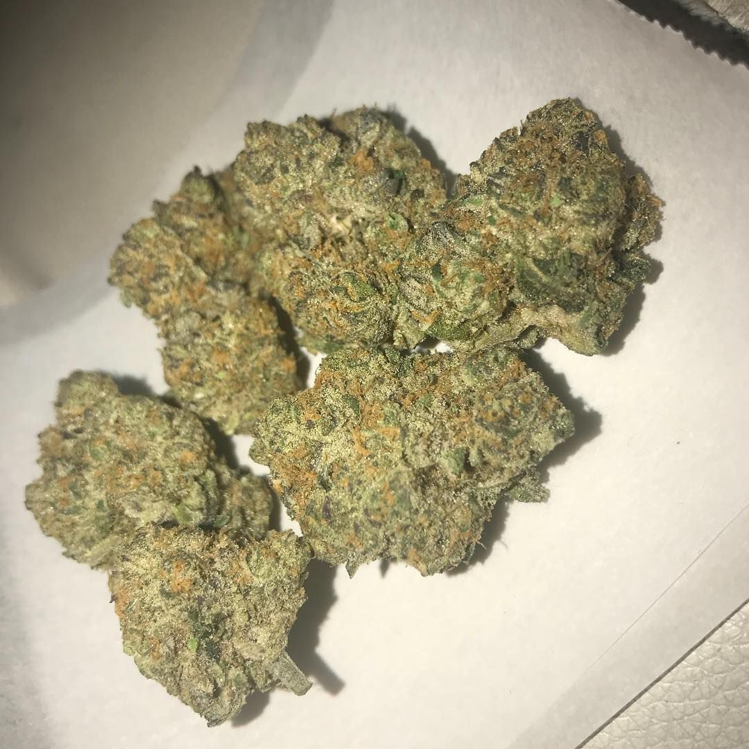 WeedStore13's tweet photo. 🌿 livraison en toute discrétion 🌿
                          👇🇫🇷
🔥 WhatsApp //+33753204019
🔥 Wickr // weedpaname 33
🔥 Snap // weedpaname_thug 123

#châteauroux #montmorillon #blanc #la #white #indre #paris #poitiers #modelephoto #châtre #chateauroux36 #rouge  #Troyes #Lille https://t.co/DXVJJLSCWr