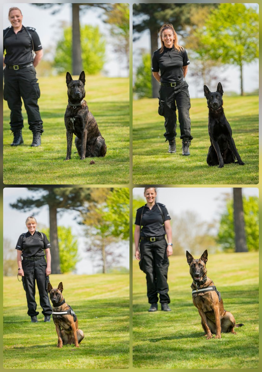 WMP Dog Unit tweet media