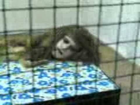 mwv_mystic's tweet image. Penyebab taubatnya anak anak tahun 2000an :