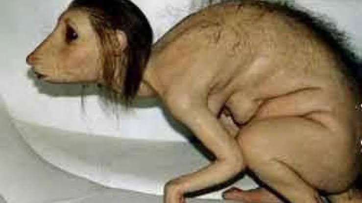 mwv_mystic's tweet image. Penyebab taubatnya anak anak tahun 2000an :