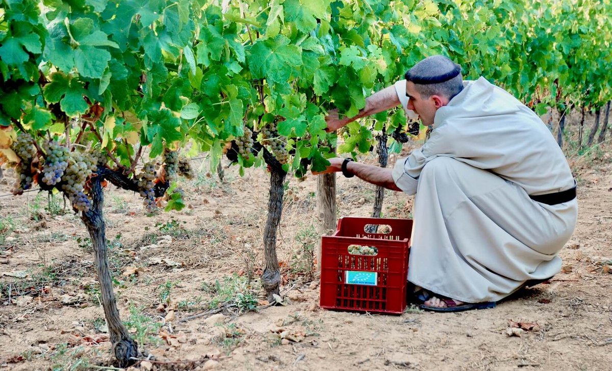 BVoltaire's tweet photo. Dégustez le vin des moines #DivineBox https://t.co/ey99AAvZnG https://t.co/nAEjxuLvD9