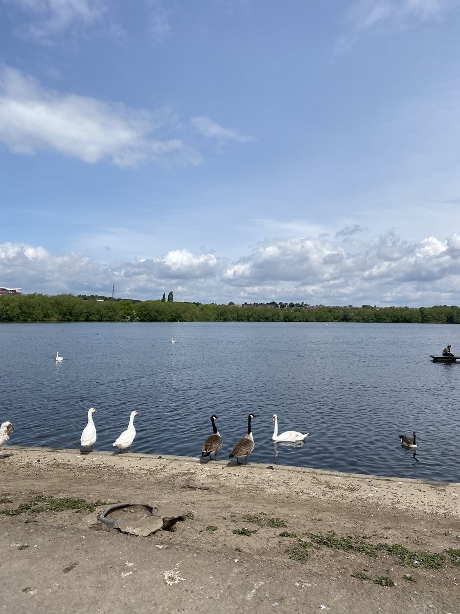MissLockwood_PE's tweet photo. Saturday mornings are for R&R and social distancing walk with my bestie 💕 #lockdown #exerciseinlockdown #restandrecovery #walks #SuetheSwann #GurttheGoose https://t.co/Jwhyycqpoh