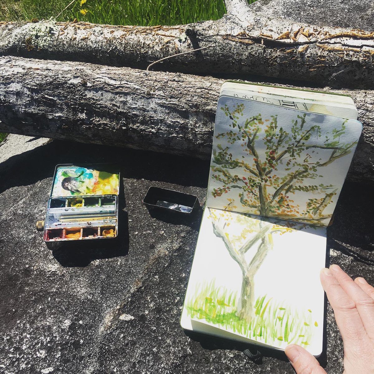 handdrawnmfa's tweet photo. Plein air watercolor of the crabapple tree in our yard, and the rock I sat on to paint it, with a work of art that came with the house, made by a previous resident. https://t.co/YCAqpAtUIt