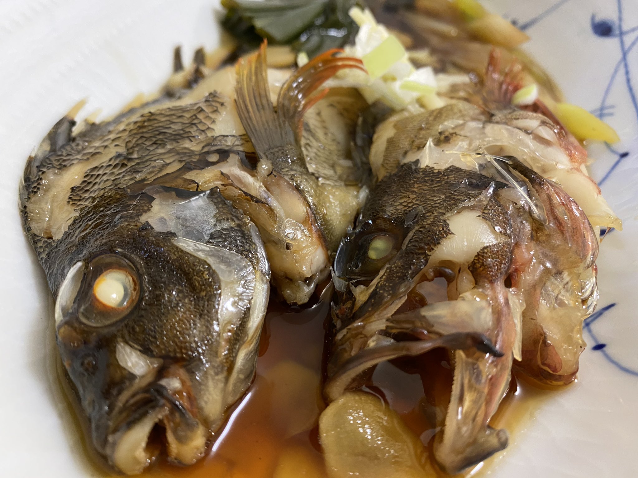 Sugai Kiyoto タカノハダイ 左 とカサゴの煮付け カサゴのほお肉 たまらないよね 30cmくらいの個体を釣って刺身で食べてみたいな カサゴの煮付け Blogger Blogging 旅blog 水面を眺めて過ごす日々 T Co 4zgnfrf9zd T Co