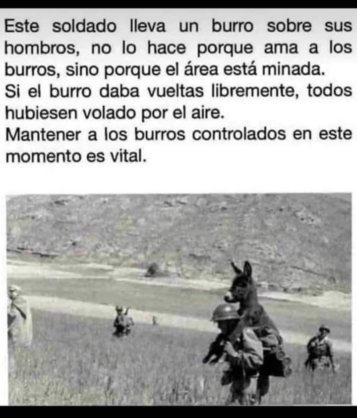 Fernando Garriga (@fernandogarriga) on Twitter photo 