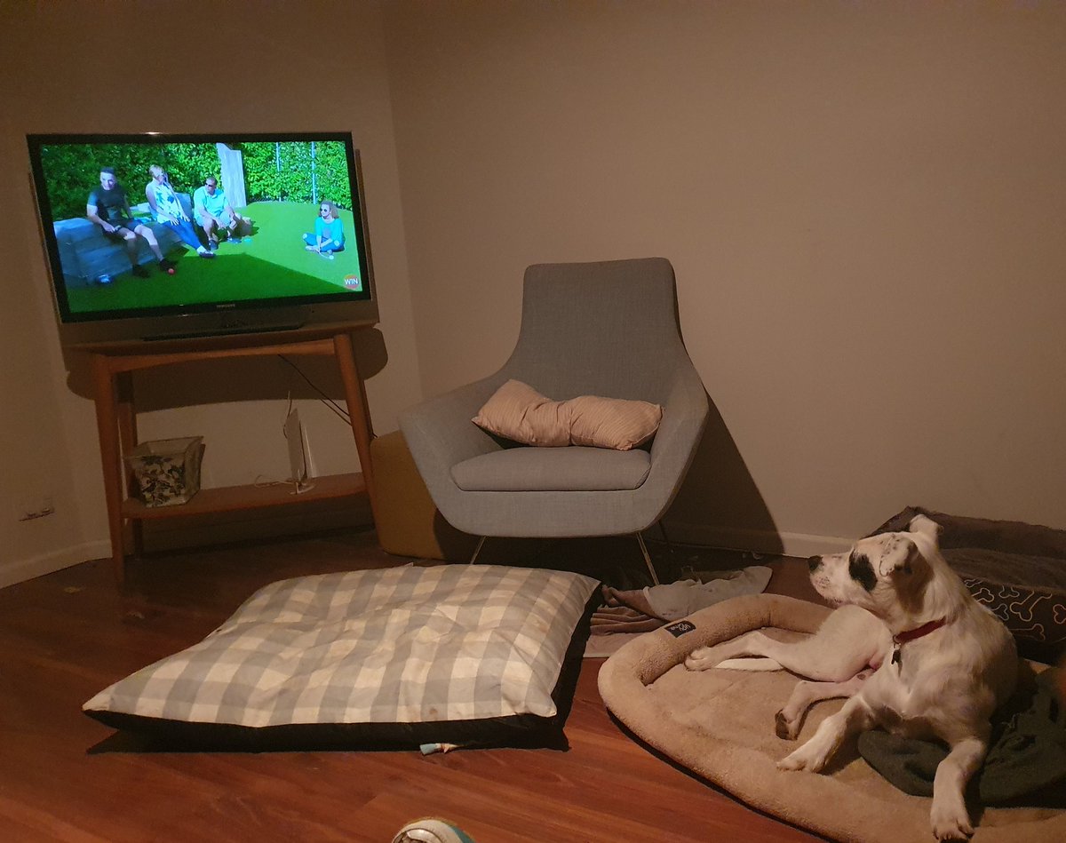 Getting excited to watch the "dog house" @ 7:00 #petsofuc