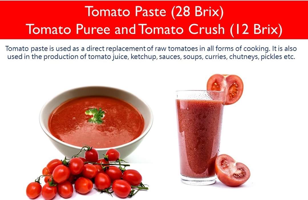 SunsipAgro's tweet photo. We supply Tomato Paste (28 Brix), Tomato Puree and Tomato Crush (12 brix) which can be used as a direct replacement of raw tomatoes in all forms of cooking. Tomato Paste is also used in the production of tomato juice, ketchup, sauces, soups, curries, chutneys, pickles etc. https://t.co/lBdCa7GygL