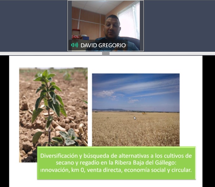 David Gregorio, de la <a href="/coopdezuera/">Cooperativa de Zuera</a>: "Quien no se mueve y renueva, caduca. Y no caducar se consigue con la #diversificación"
#ExperienciasDiálogosAgroPostCovid19 #DiálogosAgroPostCovid19 #AkislocalManubles