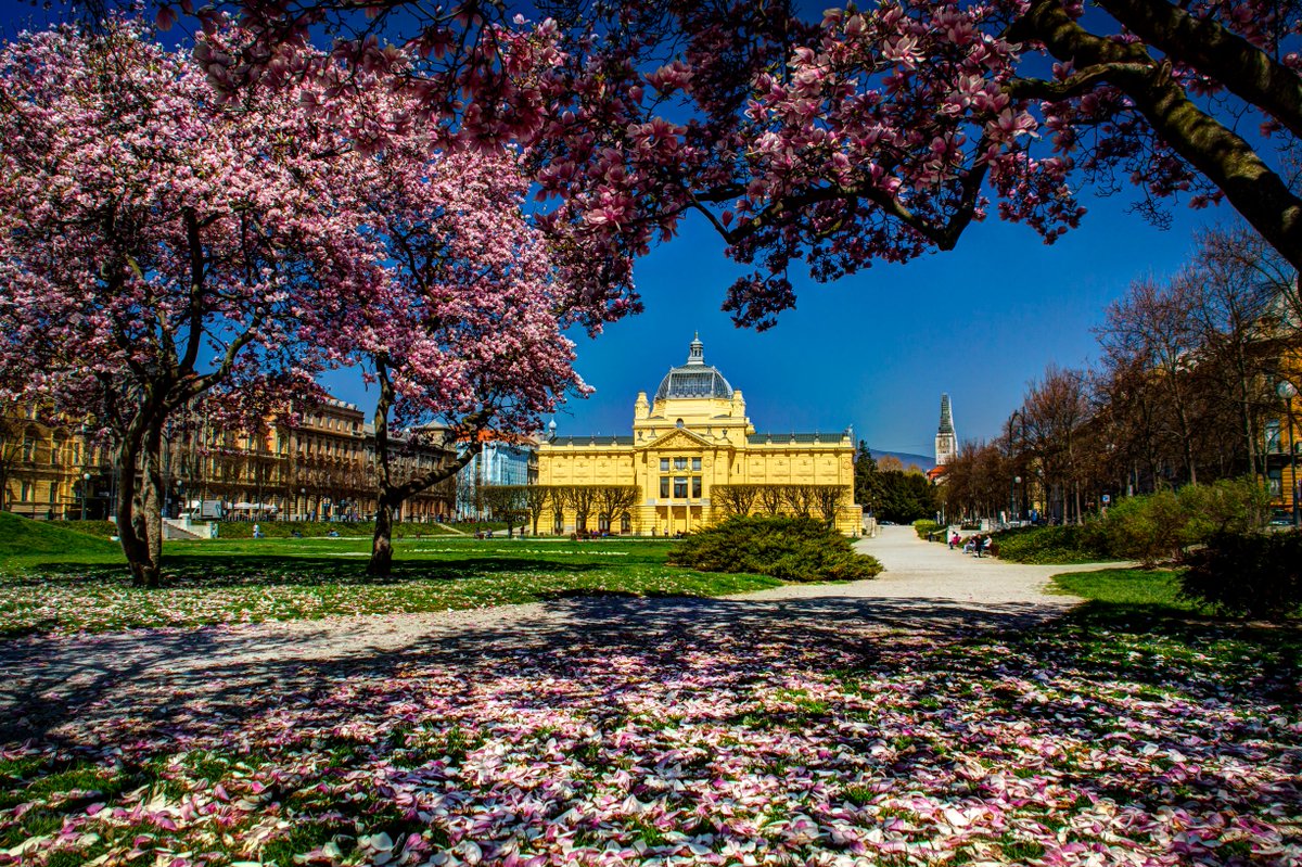 zagreb_tourist's tweet photo. Dream of Zagreb parks...
... imagine yourself laying on the grass later. ❤️
📸: J. Duval
https://t.co/6iw6Rq8YYa
#Zagreb #ZagrebLovesYou #DreamNowVisitLater #CroatiaLongDistanceLove https://t.co/Sui7D5dM94