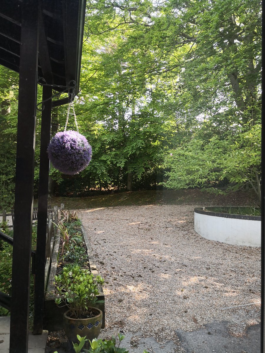 DowneHouseAGN's tweet photo. What a view from my window whilst working today! #lockdowne #DowneAtHome https://t.co/thprb5vzXd