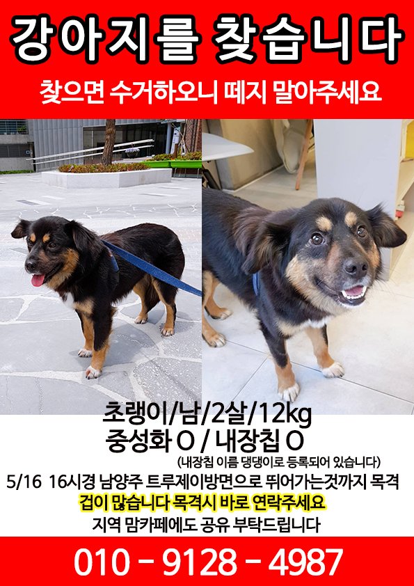 5my9od's tweet photo. #남양주 #용정리 입니다

아직 이름이 없을 때 등록한 거라 내장칩에는 댕댕이로 등록되어있습니다
겁이 많고 숨어있는 걸 잘 하는 아이입니다 공격성은 높지 않아요
없어진 곳 부근 위성사진 함께 첨부합니다 https://t.co/CyVi41axts