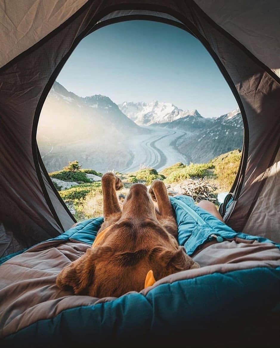 evokaii's tweet photo. Weekend Discovery Time 🙌

Still waiting to get to surf so let's go and discover the mountains. ⛰

Getting a dog and enjoying this view by @dogswiss is definitely on our #lifegoals list.

#WanderLust #DiscoveryMode #Swiss #Mountains https://t.co/KtpkJ5mOfo