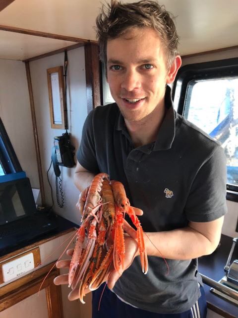 Fancy some fresh langoustines on Tuesday? Available to order now for home delivery in our home delivery areas or Collection- denniscrooksshop.co.uk/collections/sp…