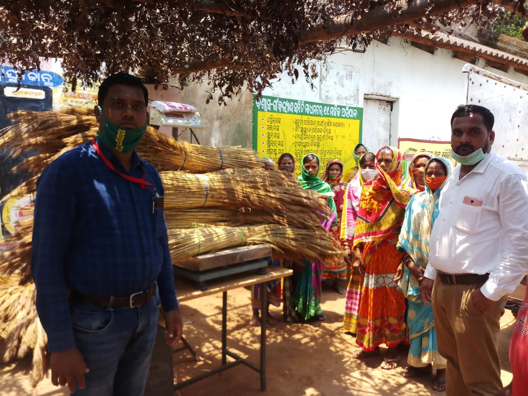 VanDhanSeVikas's tweet photo. #TDCCOL Balliguda procured 18.75 Qtl. of Hill Broom Grass from Maa Gayatri VDVK SHG, Ududeba of Chakapad Block and payment made on the spot through Account Payee Cheque in the presence of DMO, TDCCOL / PM ITDA and other staffs.
#VanDhan #TRIFEDForTribals @TribalAffairsIn https://t.co/RCe0VCOdx6
