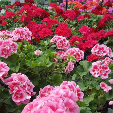 COLOR, COLOR, Everywhere! conta.cc/2Ax9uij