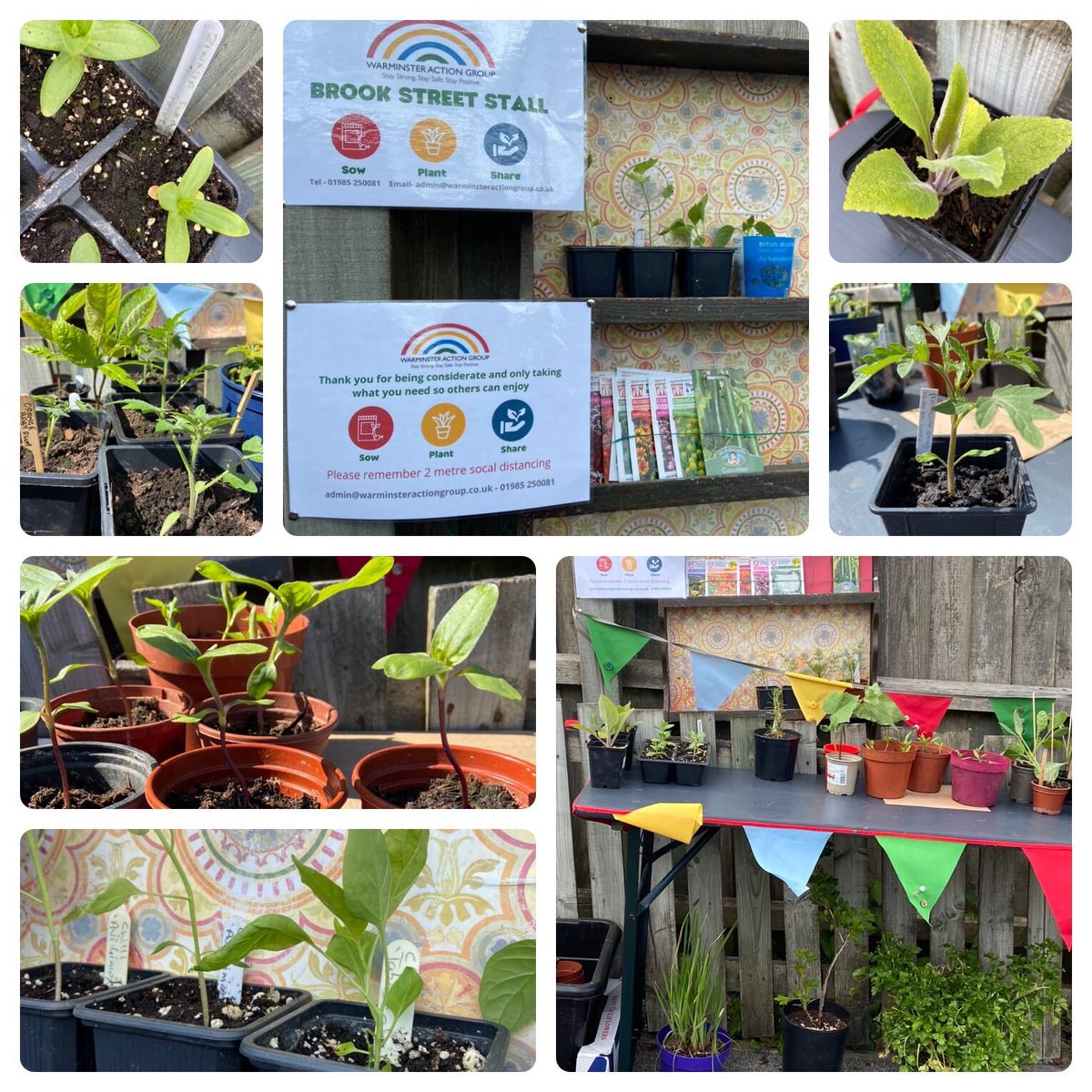 WarminsterGroup's tweet photo. Gardening is good for our mental health. Even something as simple as having a plant on your desk can reduce stress !!  So our new SOW-PLANT-SHARE #community project is a great edition to #warminster #mentalhealth @wiltshiretimes  @wiltscouncil @WarminsterUK https://t.co/qVVglMjJ3e