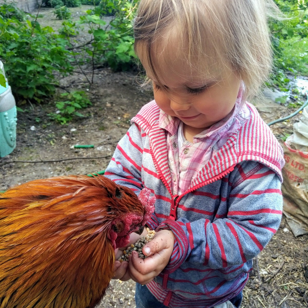UpdownBees's tweet photo. Her favourite part of the day. Just wait until I get her into a bee suit.  #youngbees #seasidebees #margate https://t.co/opLTNiyn1g