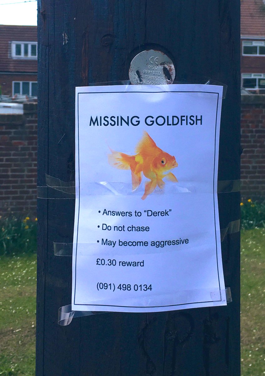 LydiaJane13's tweet photo. On my daily walk today .... #findDerek https://t.co/Y8f7Hg1vVy