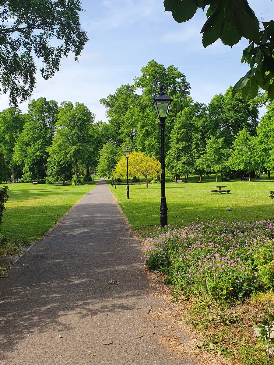 JMoultonSoton's tweet image. Palmerston Road looking beautiful in the morning sun #lockdownrun