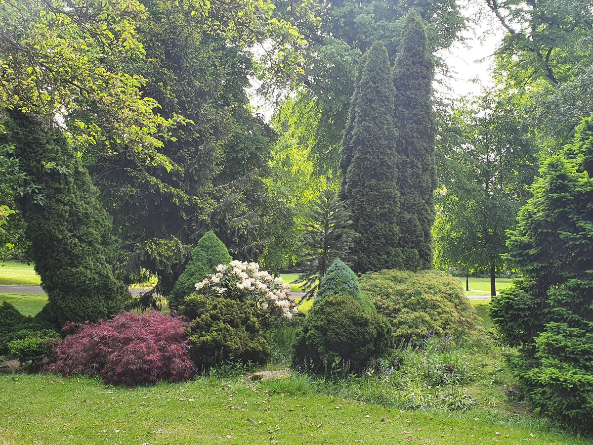 JMoultonSoton's tweet image. Palmerston Road looking beautiful in the morning sun #lockdownrun