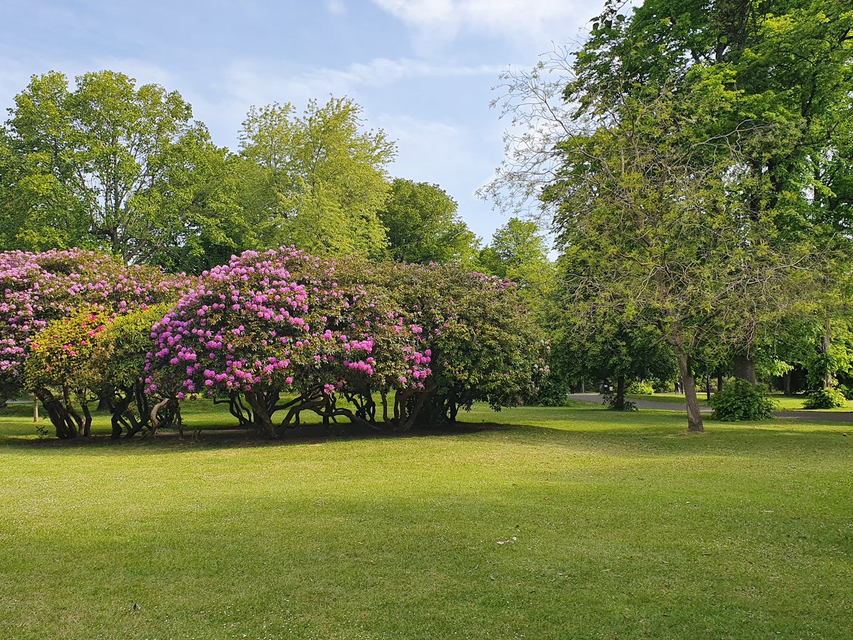 JMoultonSoton's tweet image. Palmerston Road looking beautiful in the morning sun #lockdownrun