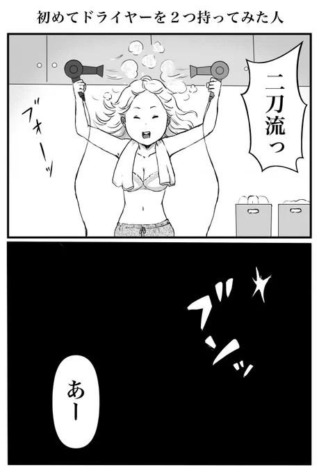2コマ「初めてドライヤーを2つ持ってみた人」 