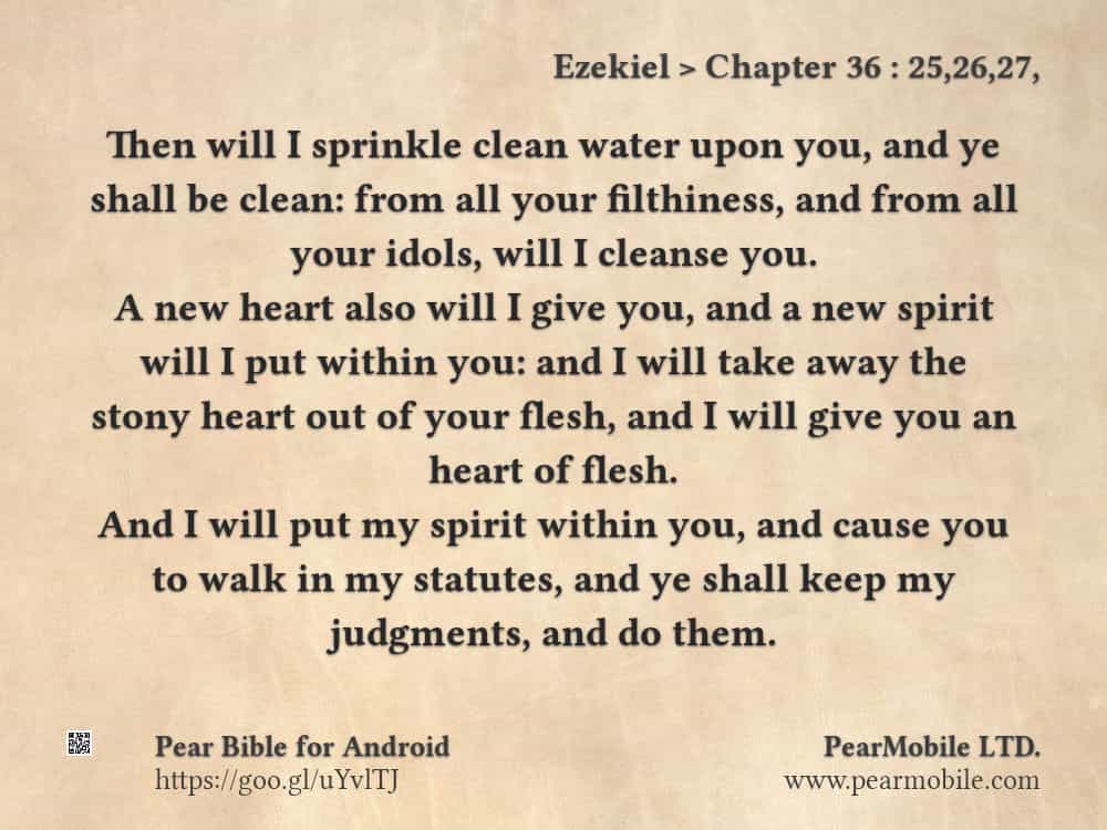 KonarShalom's tweet image. The journey of the #stonyheart to heart of flesh. You&apos;re Incredible GOD #Ezekiel36vs25to27 #Luke1v37 ♥️🙌🙏