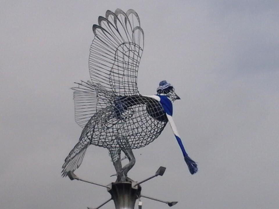 Now that was a good work project 😊#perth&amp;kinross #SaintsFC