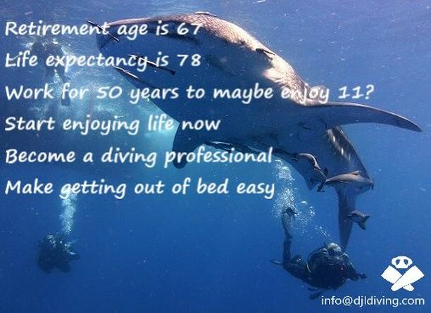 divekohtao's tweet image. Change your life - live the dream! Contact us for details. info@djldiving.com djldiving.com #scubadiving #padicourse #PADI #djlfamily #kohtaodiving #kohtao instagr.am/p/CAPiDytHi6C/